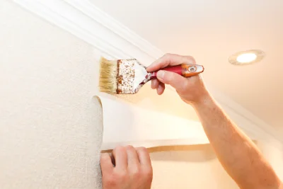 Pose de papier peint à Mézilhac — revêtements muraux et toiles de verre